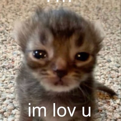 LazyDaily12's profile picture. I just want to play identity v.