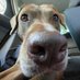 gus (@wakeupguss) Twitter profile photo