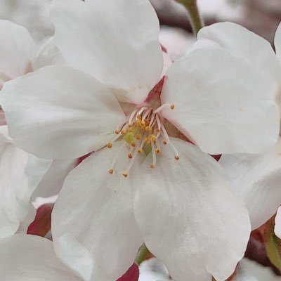 あいとさんのプロフィール画像