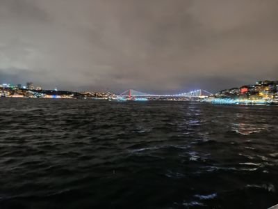 TilginMert's profile picture. 