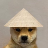 tim (@tim_mfld) 's Twitter Profile Photo tim (@tim_mfld) 's Twitter Profile Photo