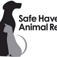 Safe Haven (@safehavenok) 's Twitter Profile