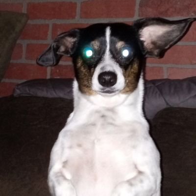 GarthsHottie09's profile picture. Democrat 4 Life
Women Rights Always
Human Kindness