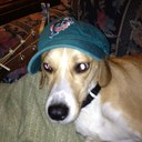 thomas laster - @thomlaster - Twitter