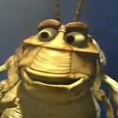 I am Molt a bug life from