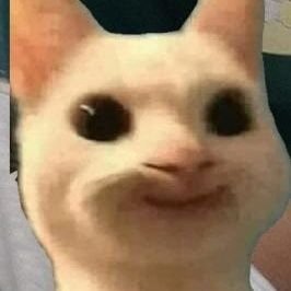 0xClarket Profile