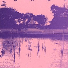 alovelypear's profile picture. 