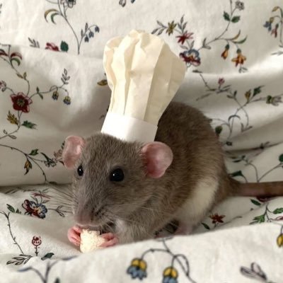 fatheryaps's profile picture. welcome to my unhinged thots