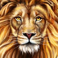 مرتضى مندور (@mortadamandour) 's Twitter Profile