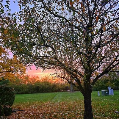 billal012390's profile picture. 