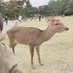 かずさく🦌🐰 (@kazsaku_kama) Twitter profile photo かずさく🦌🐰 (@kazsaku_kama) Twitter profile photo