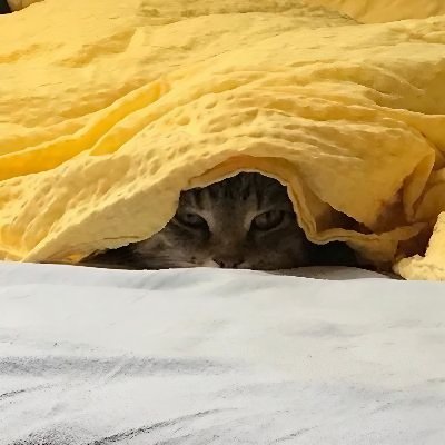 notYulei's profile picture. Twitch Mod for @issajeyM and @Beaulooo