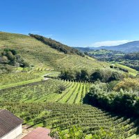 Allan Davis (@albymaidavis) 's Twitter Profile Photo