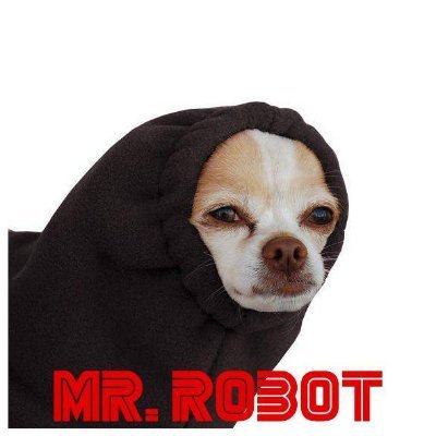 insecurity's profile picture. @hacker_