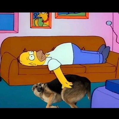 Justforfun_eee's profile picture. Trash tv, dogs and sports 🥰