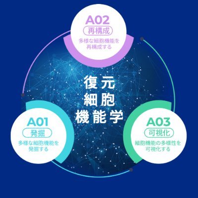 科研費 学術変革領域研究 (B) 「復元細胞機能学 集光性アンテナ複合体の復元」のアカウントです。プロジェクトの詳細はHPにて!