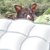 ばいざんが (@huckebaizanga) Twitter profile photo ばいざんが (@huckebaizanga) Twitter profile photo