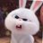 N569831's profile image