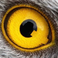 SpiritQf76 ⭐️ ⭐️ ⭐️ (@spiritqf76) 's Twitter Profile Photo SpiritQf76 ⭐️ ⭐️ ⭐️ (@spiritqf76) 's Twitter Profile Photo