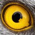 SpiritQf76 ⭐️ ⭐️ ⭐️ Profile picture