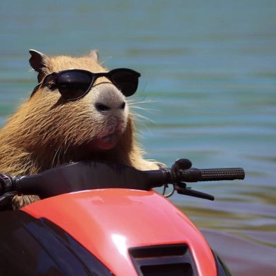 heroveryvell's profile picture. 