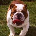 Mac Austin - @Healthy2guy - Twitter