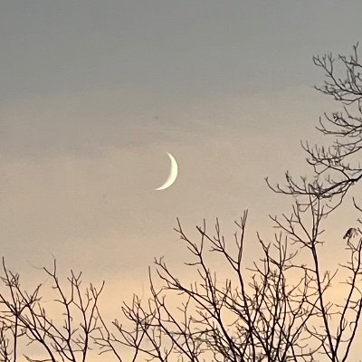 pseuze's profile picture. Beware the Jabberwock, my son!