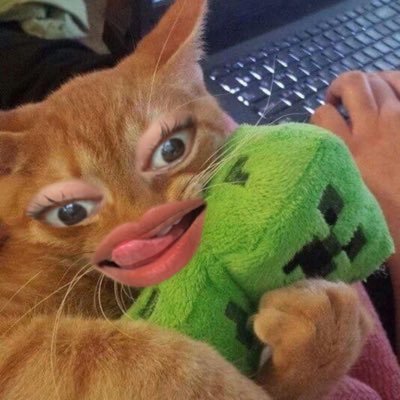 daawnuf's profile picture. suka suka je