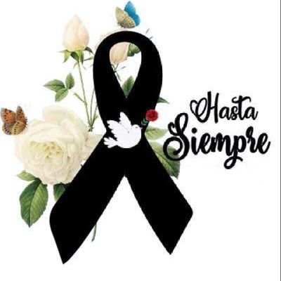 •°•°• Eres Alma En Libertad... Frente A Toda Adversidad... 🕊 👑 🌎 🌹 •°•°•