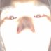 ボケ (@rikuto1211h) Twitter profile photo ボケ (@rikuto1211h) Twitter profile photo