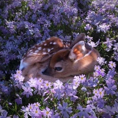 binte_e_harun's profile picture. Indeed we belong to Allah, and indeed to Him we will return.