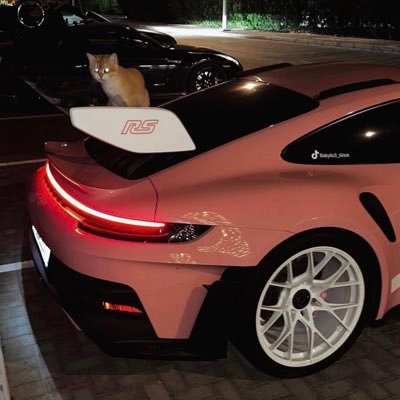 ManifestRs01's profile picture. #CryptoTrader #SolanaDegen #RachelWolchin Army #$Manifest🐈💎