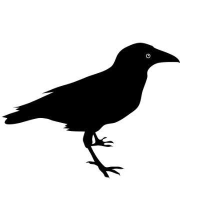 Blackbird80000's profile picture.