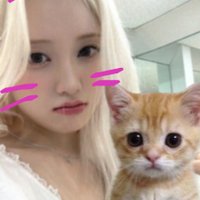 ๐ญ๐บ๐๐๐๐๐ ึดึถึธ (@nyaoungie) 's Twitter Profile