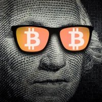 buzzeedd ∆ (@cryptofizzbuzz) 's Twitter Profile