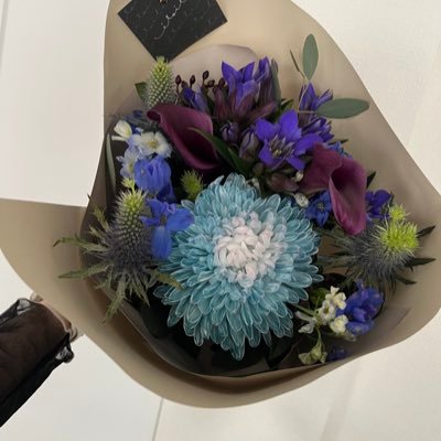 poki_poki_k's profile picture. 愛車🫶XL1200x 2021年式 大阪/JD3/バイク女子🔰建築女子👩‍🎓相互フォローお願いします🙇