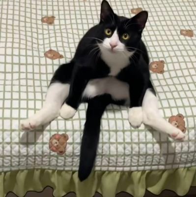 KYuxue's profile picture. 