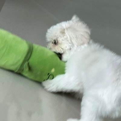 godthunder_f's profile picture. #ZEUS 나의 자부심✨️