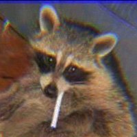 Laeth (@laethcore) 's Twitter Profile Photo Laeth (@laethcore) 's Twitter Profile Photo