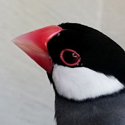 えださんのプロフィール画像