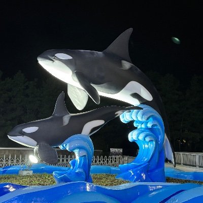 Toko_1729's profile picture. SMQC45期/パーカス
スプリングボードオフライン🥉