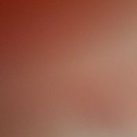 Metecan (@metecan85985219) 's Twitter Profile