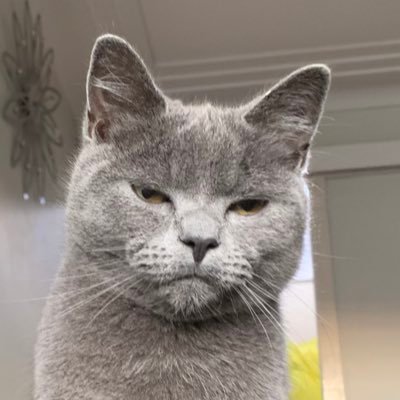 Issa281336's profile picture. 