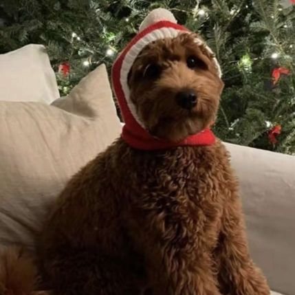 SmetsTijl's profile picture. 