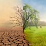 TatendaMagombe5's profile picture. Development practitioner, Climate Activist and Education.