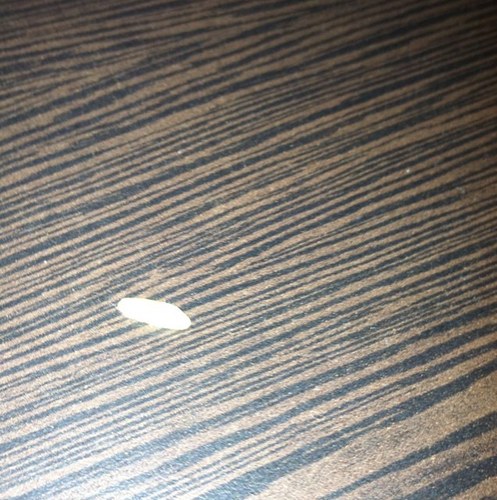 Iamagrainofrice's profile picture. A piece of rice who is one of the gang hangin w them in hotel bars & throwin Comic Cons. Join Bob on adventures to Comic-Con WonderCon & APE