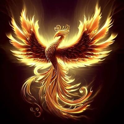 YasinYi24950779's profile picture. 