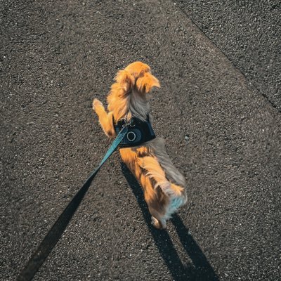 Diary_idlike's profile picture. 東京、端くれ最先端