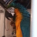 Antaya Rose Crook - @antayacrook - Twitter