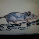 scott bunker♦️ - @discratts - Twitter